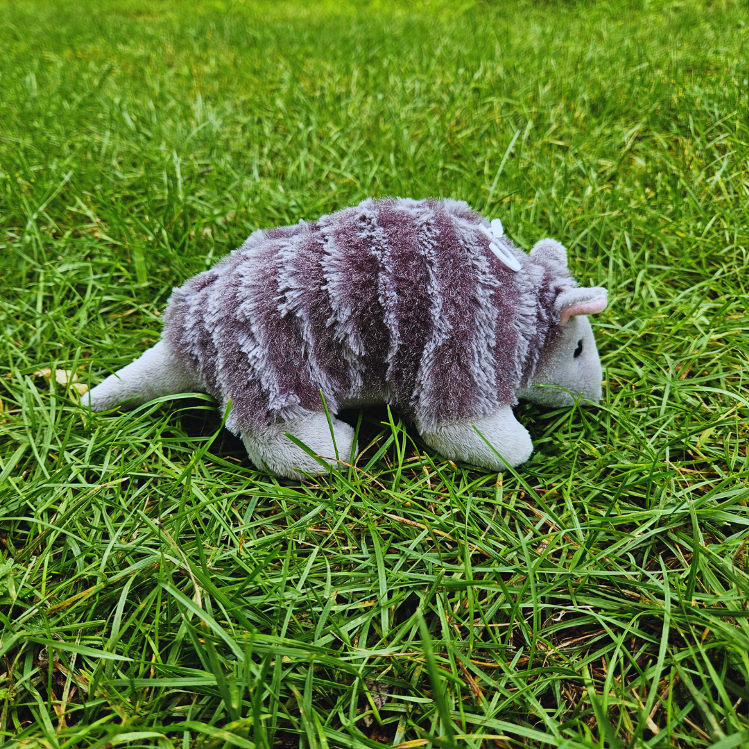 Armadillo Stuffed Animal