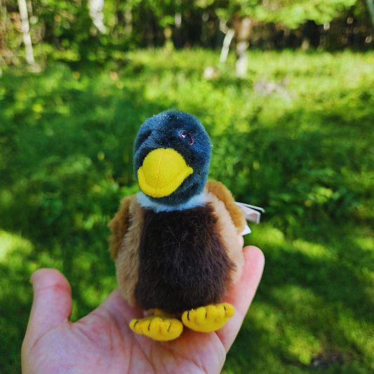 Duck Stuffed Animal