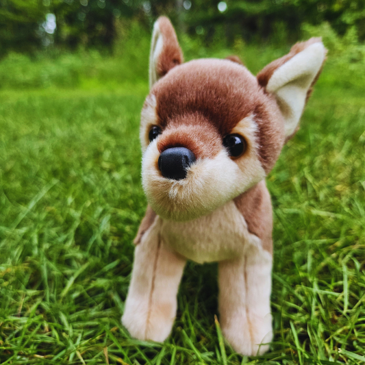 Pepito Chihuahua Stuffed Animal