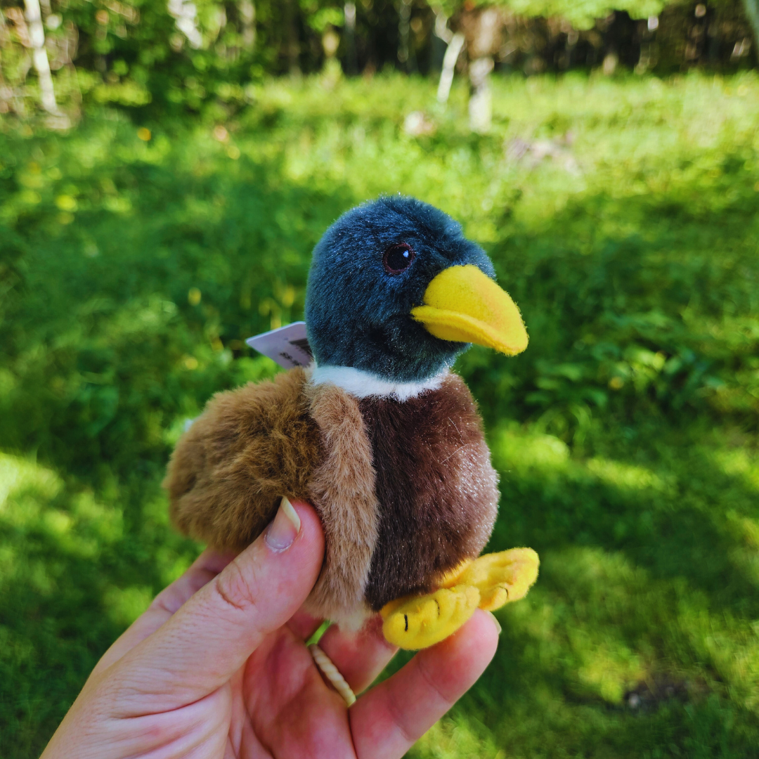 Duck Stuffed Animal