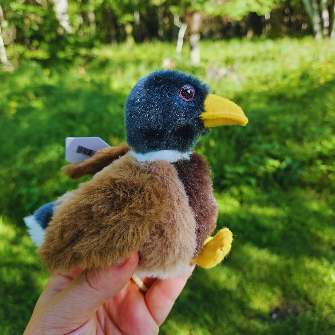 Duck Stuffed Animal