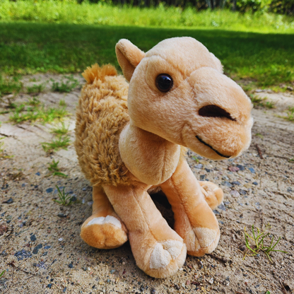 Dromedary Stuffed Animal