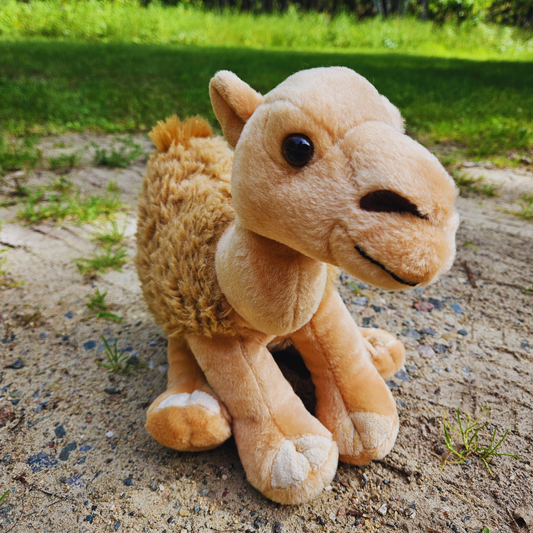 Dromedary Stuffed Animal