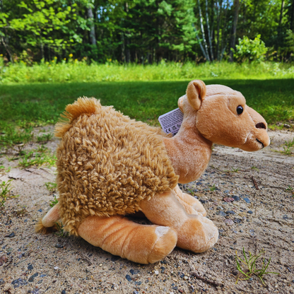 Dromedary Stuffed Animal