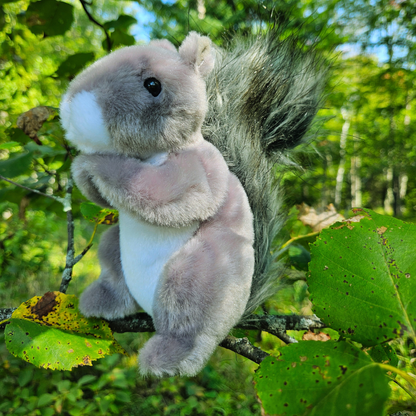 Squirrel Stuffed Animal