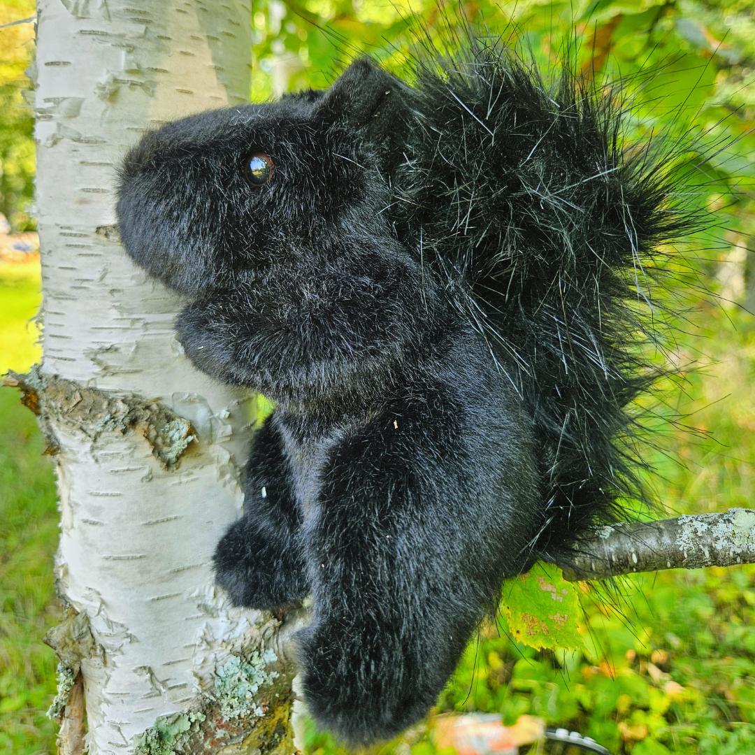 Squirrel Stuffed Animal