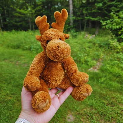 Fuzzy Sitting Moose