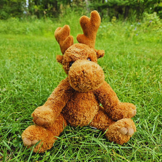 Fuzzy Sitting Moose