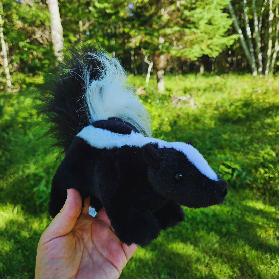 Skunk Stuffed Animal