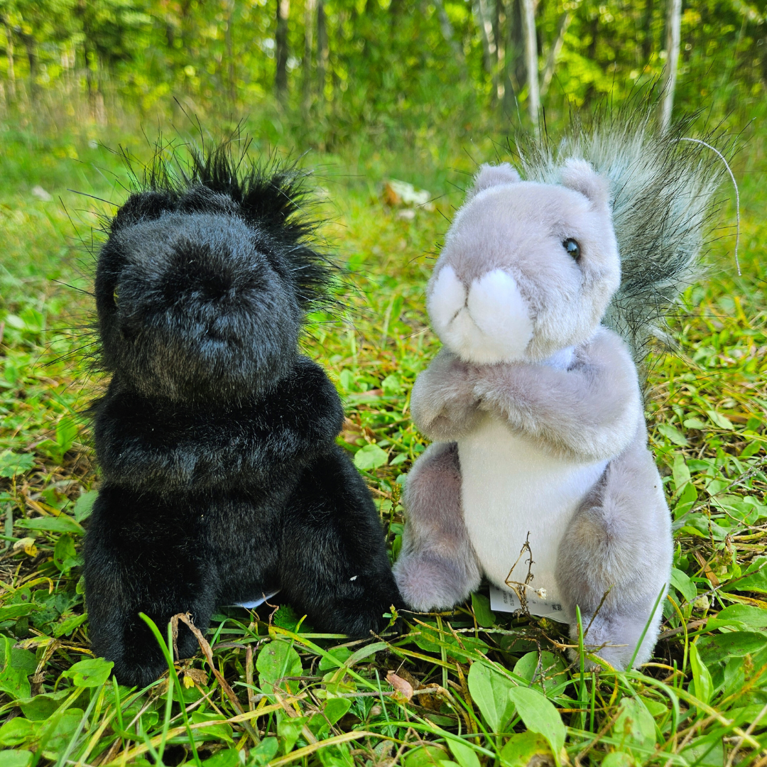 Squirrel Stuffed Animal