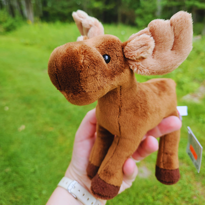 Small Standing Moose