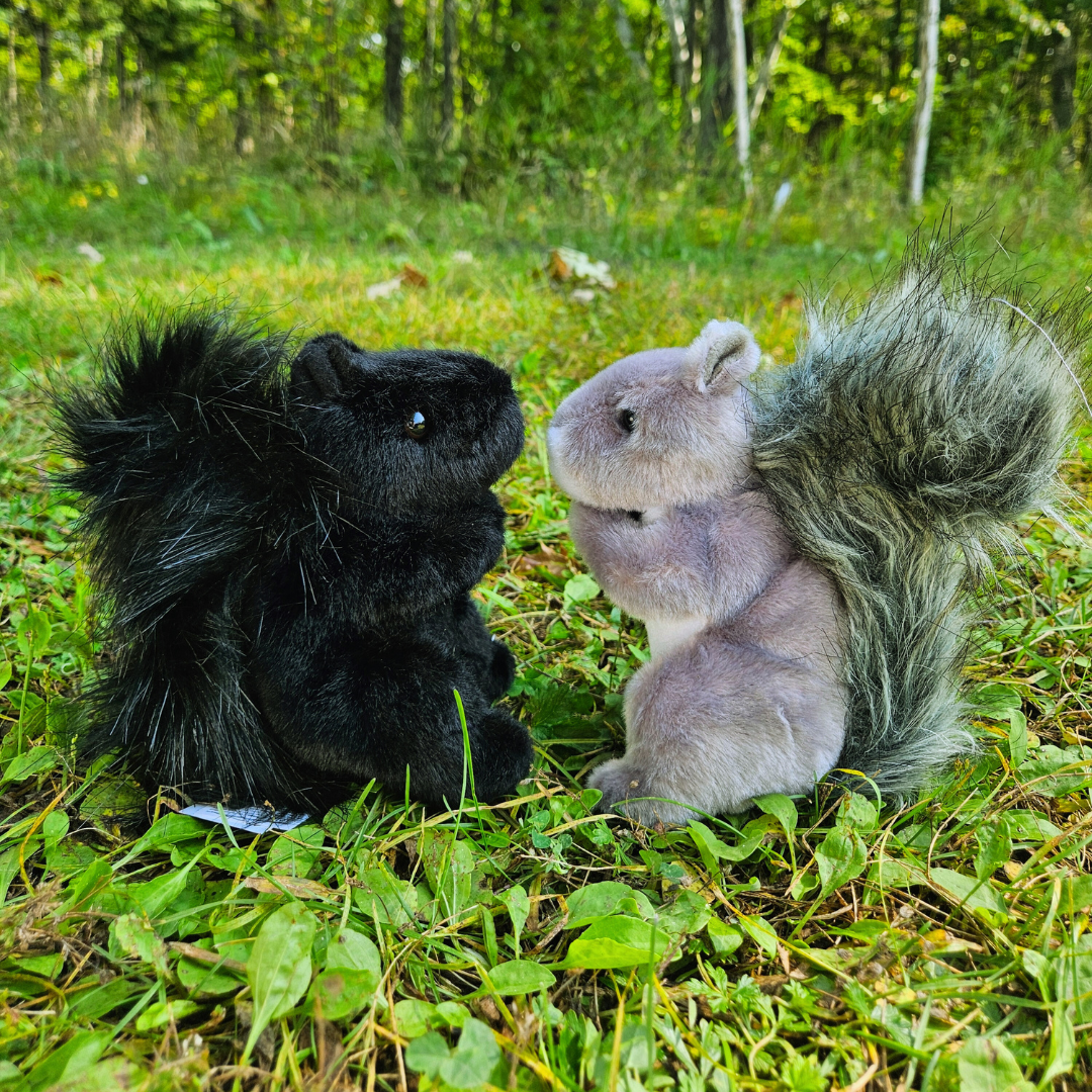 Squirrel Stuffed Animal