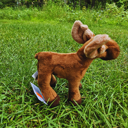 Small Standing Moose