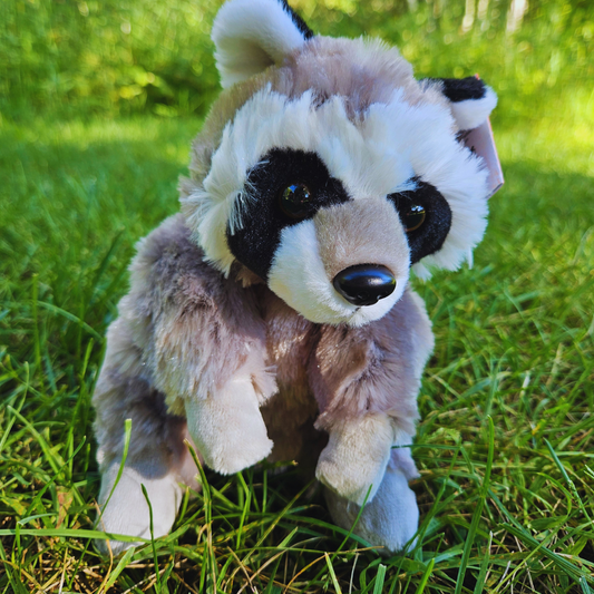 Raccoon Stuffed Animal