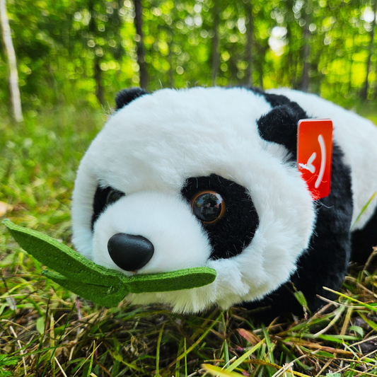 Panda with Bamboo Plush