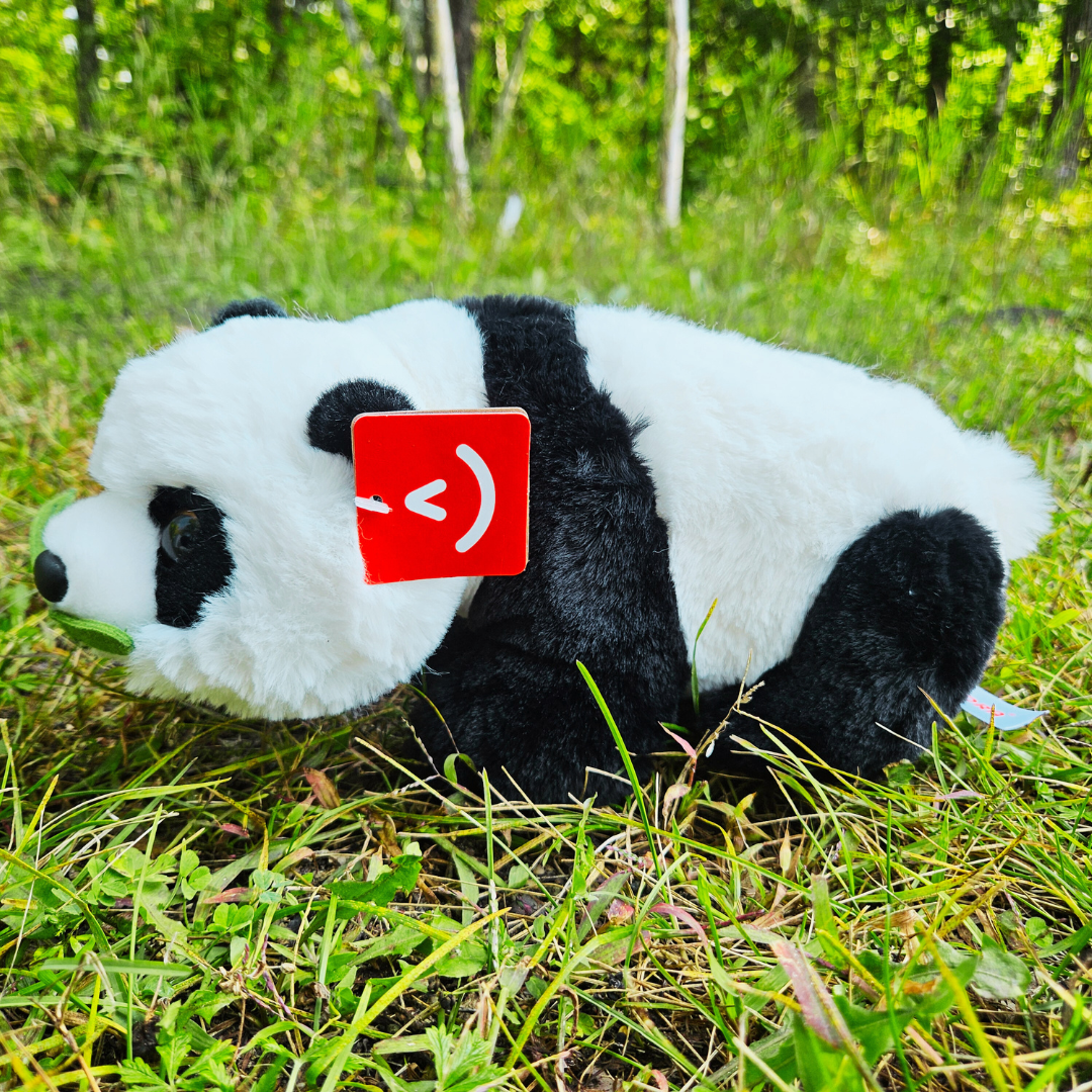 Panda with Bamboo Plush