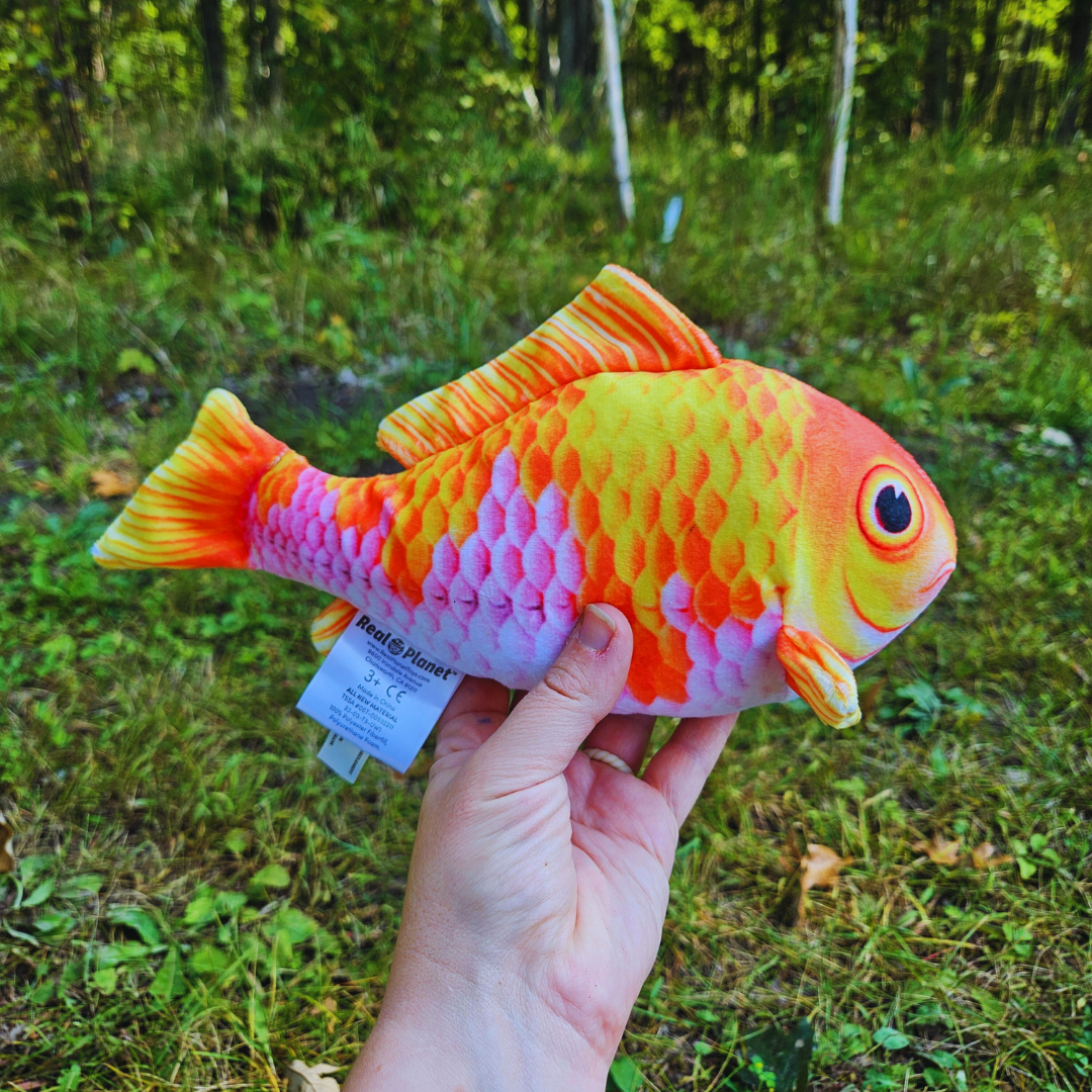 Stuffed Koi Fish