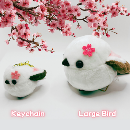 Hanami Flower Viewing Festival Package