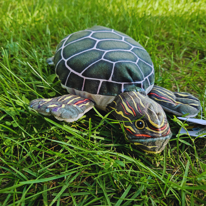 Painted Turtle Stuffed Animal