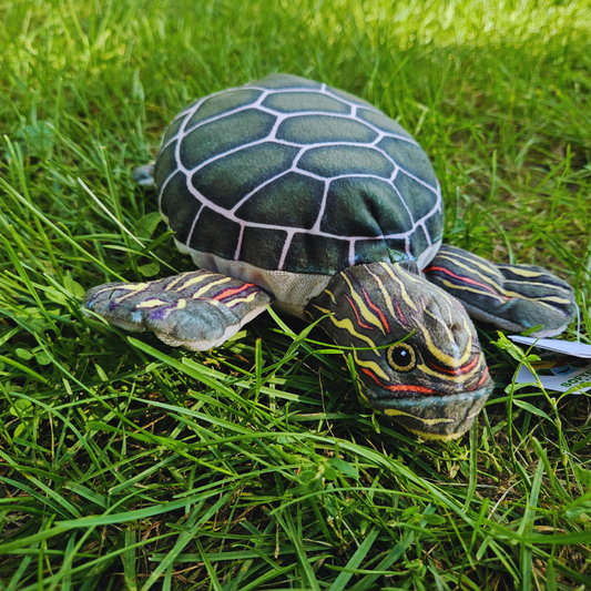 Painted Turtle Stuffed Animal
