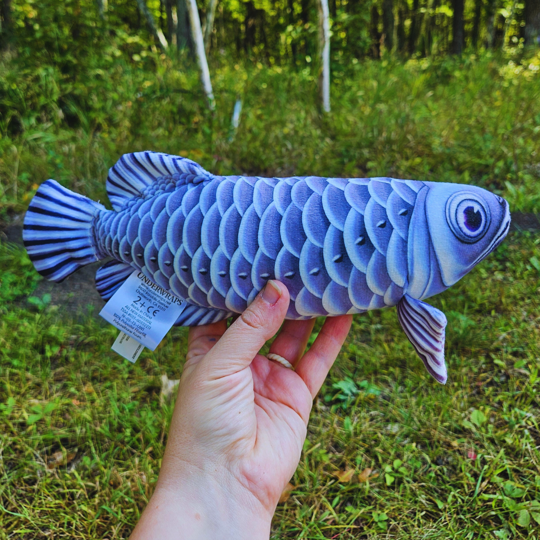 Stuffed Arowana