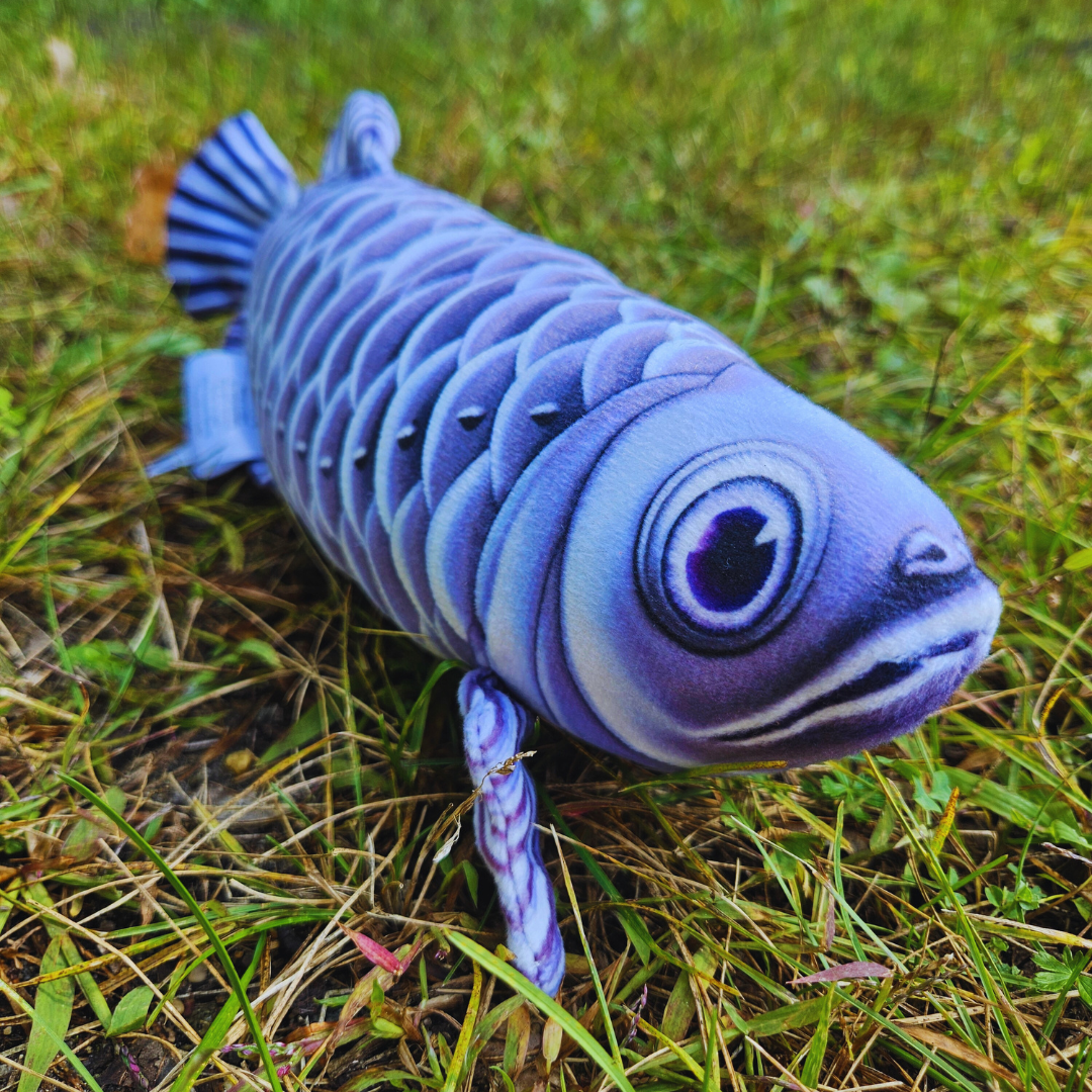 Stuffed Arowana