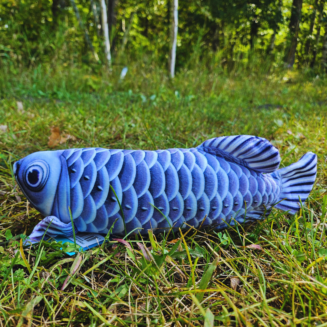 Stuffed Arowana