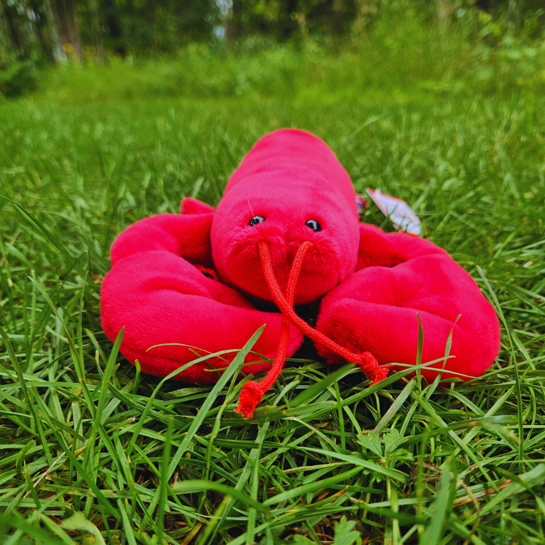 Kräftor (Crayfish) Stuffed Animal