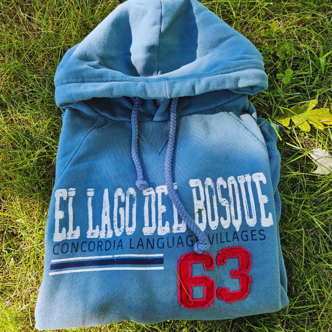 El Lago del Bosque Vulpix 63 Hoodie