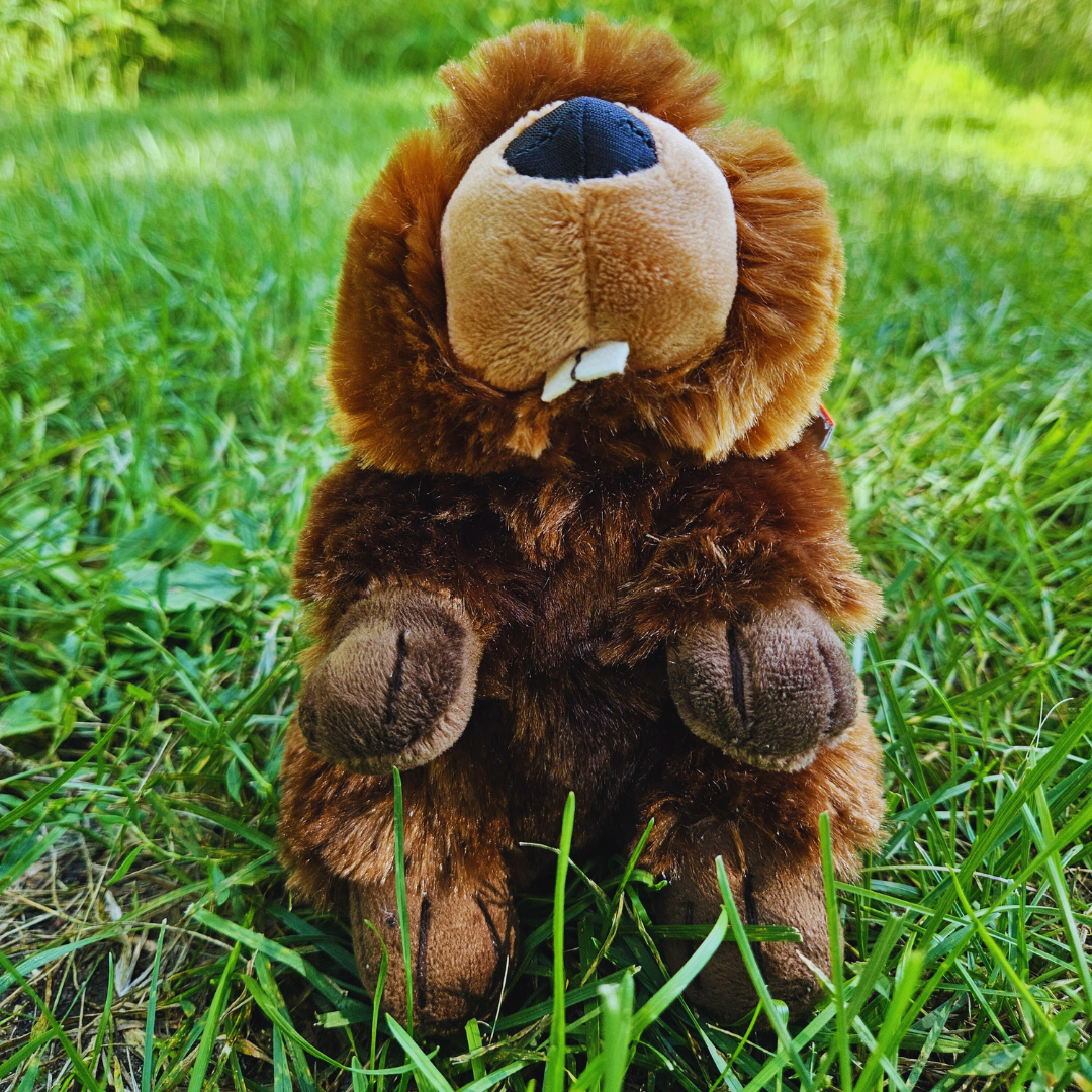Beaver Stuffed Animal
