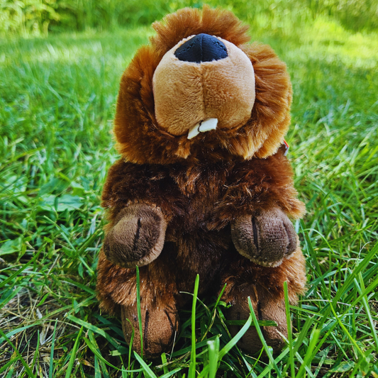 Beaver Stuffed Animal