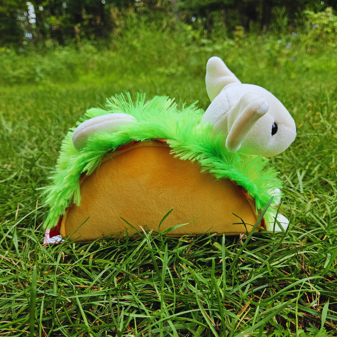 Taco Chihuahua Stuffed Animal