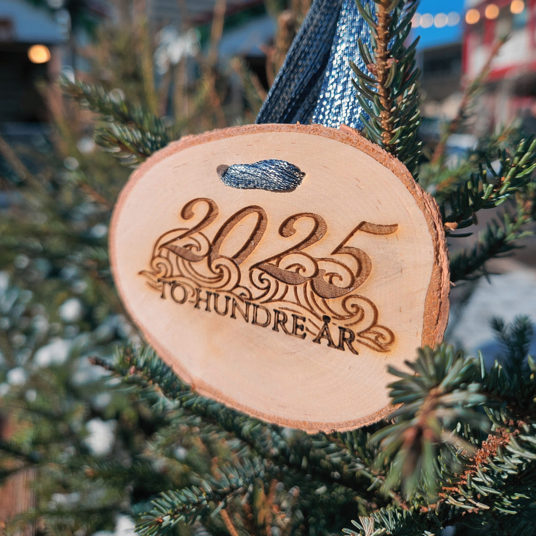 2025 Skogfjorden Julepynt