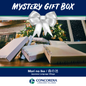 Japanese Mystery Gift Box