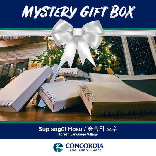 Korean Mystery Gift Box