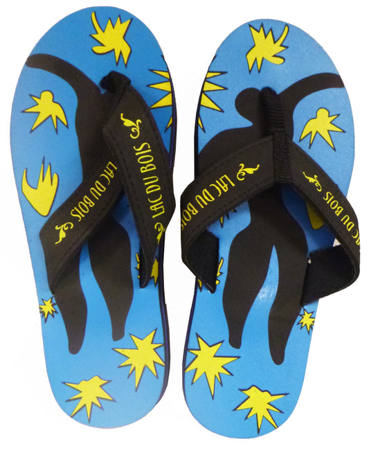 LdB Flip Flops